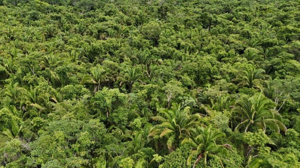 listing image with ID 66675