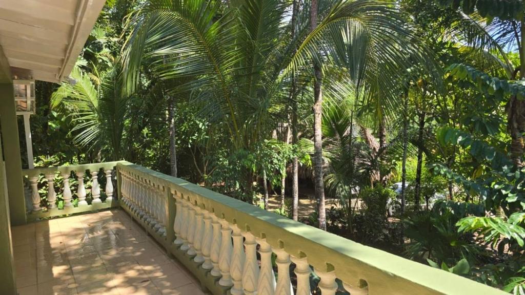 listing image with ID 65899