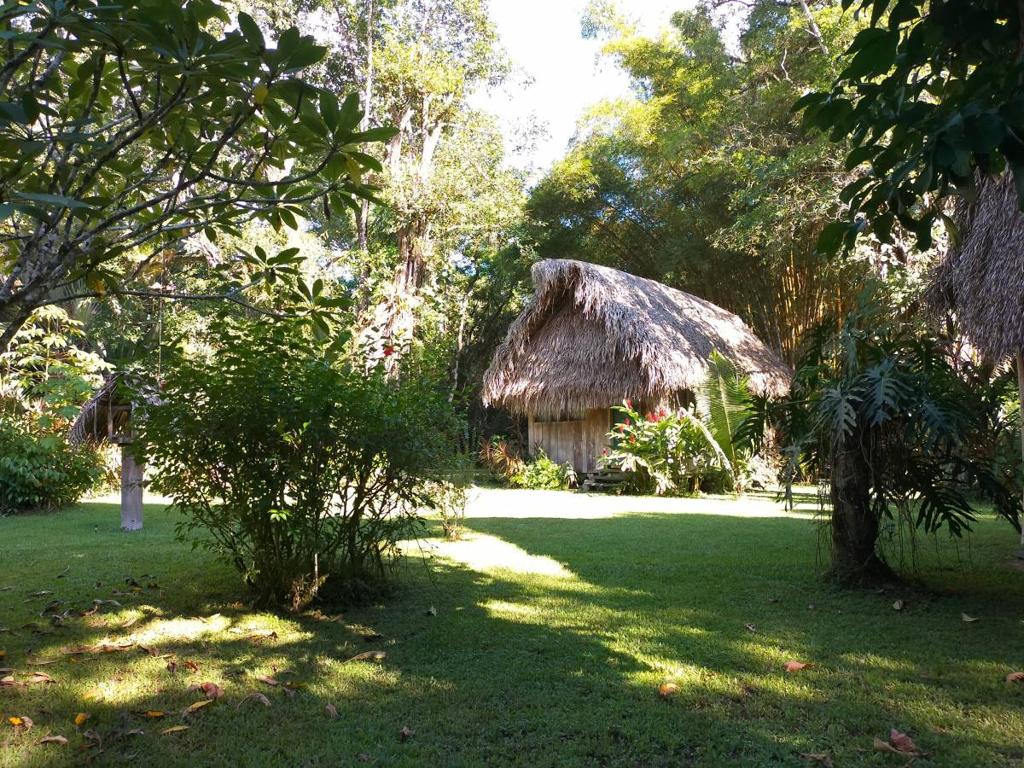 listing image with ID 65502