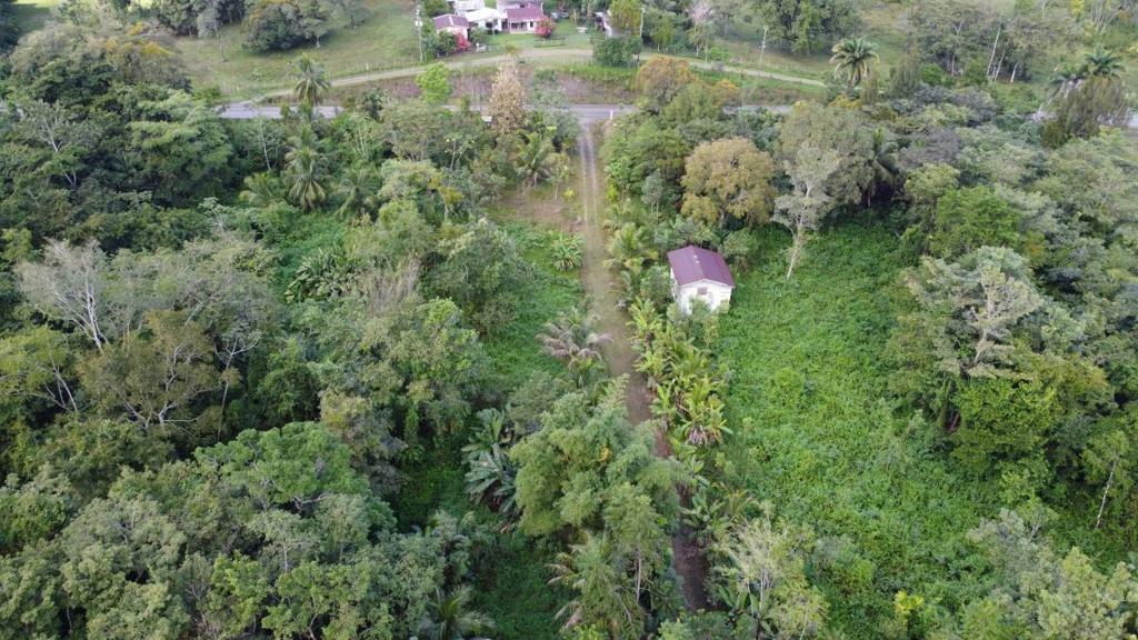 listing image with ID 64251