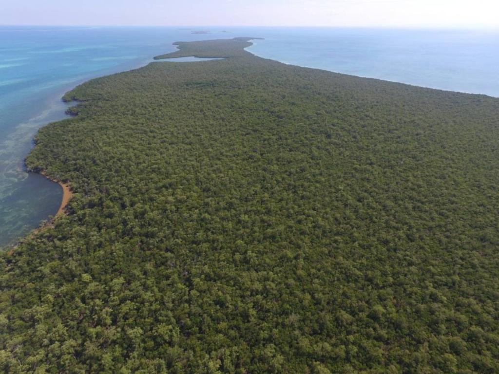 listing image with ID 67431