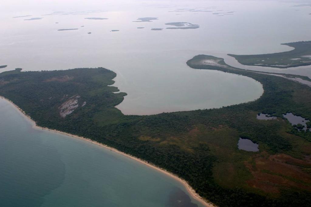 listing image with ID 64493