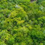 listing image thumbnail with ID 67327