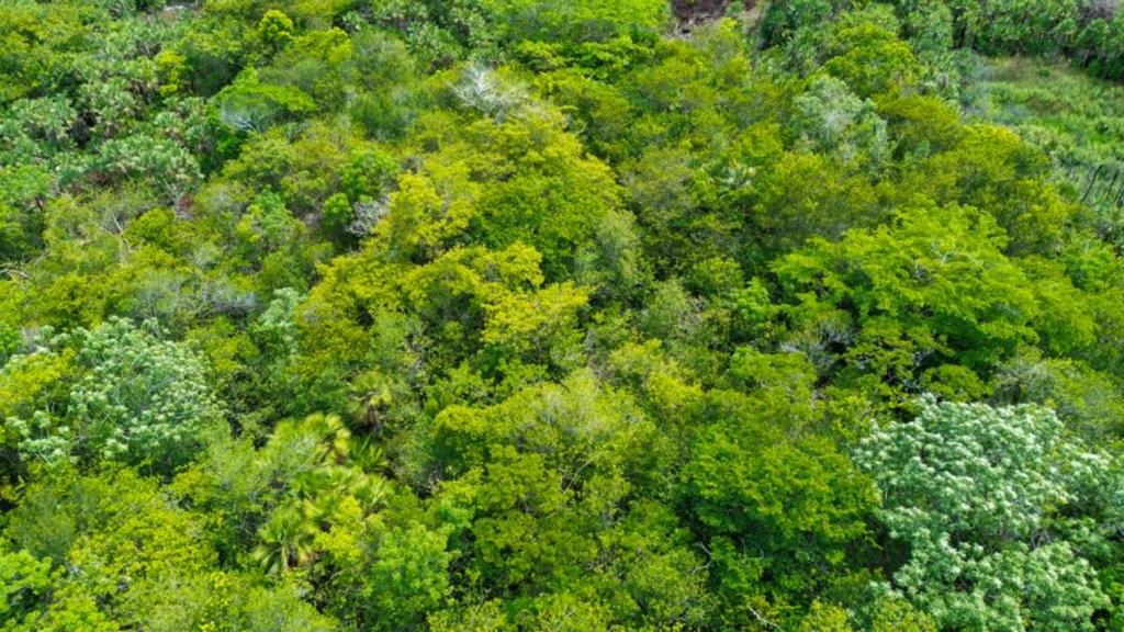 listing image with ID 67327