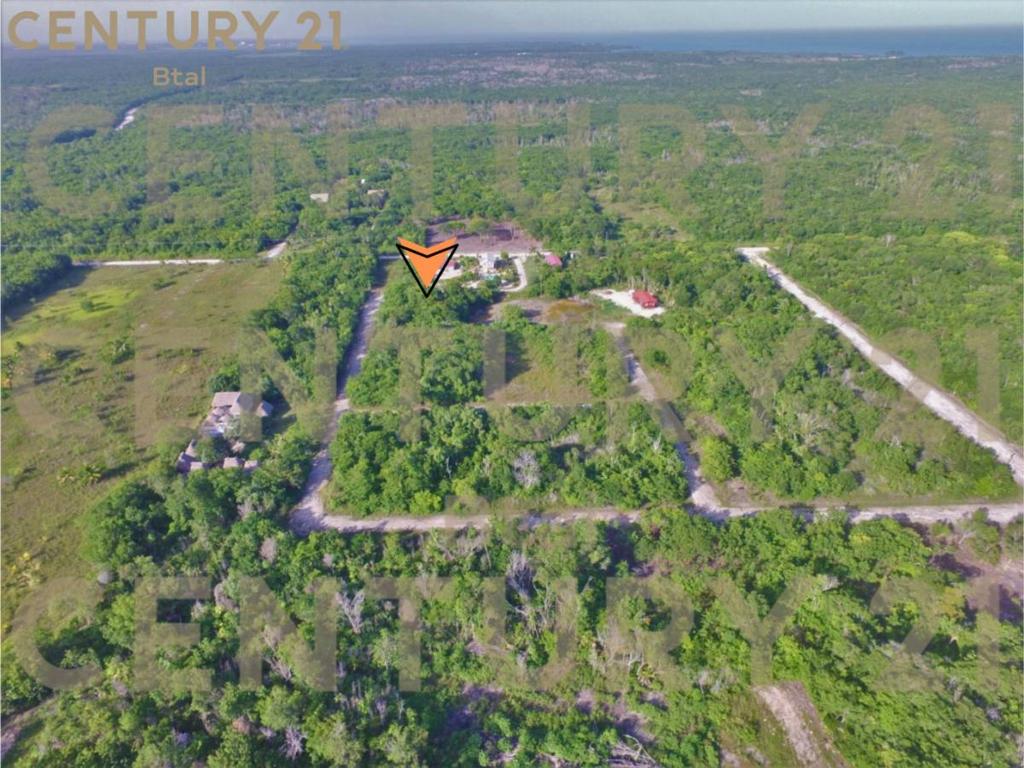 listing image with ID 63663