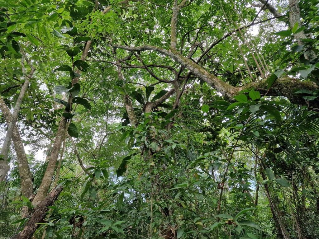 listing image with ID 63969