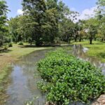 listing image thumbnail with ID 67902