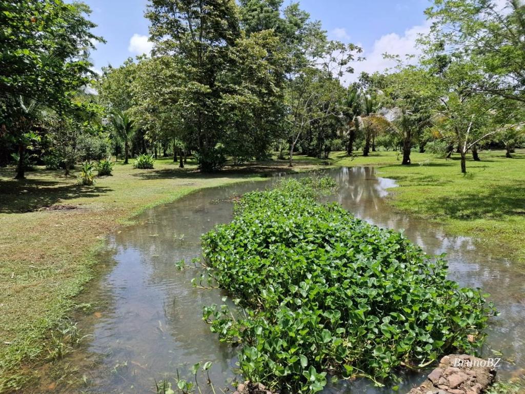 listing image with ID 67902