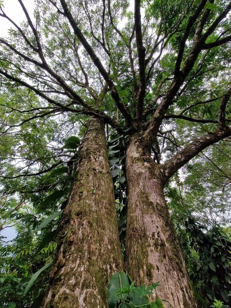 listing image with ID 63726