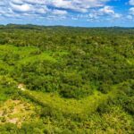 listing image thumbnail with ID 69116