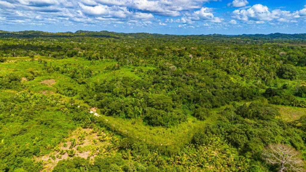 listing image with ID 69116