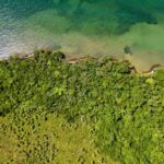 listing image thumbnail with ID 63748