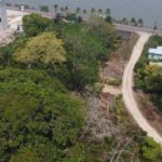 listing image thumbnail with ID 65116