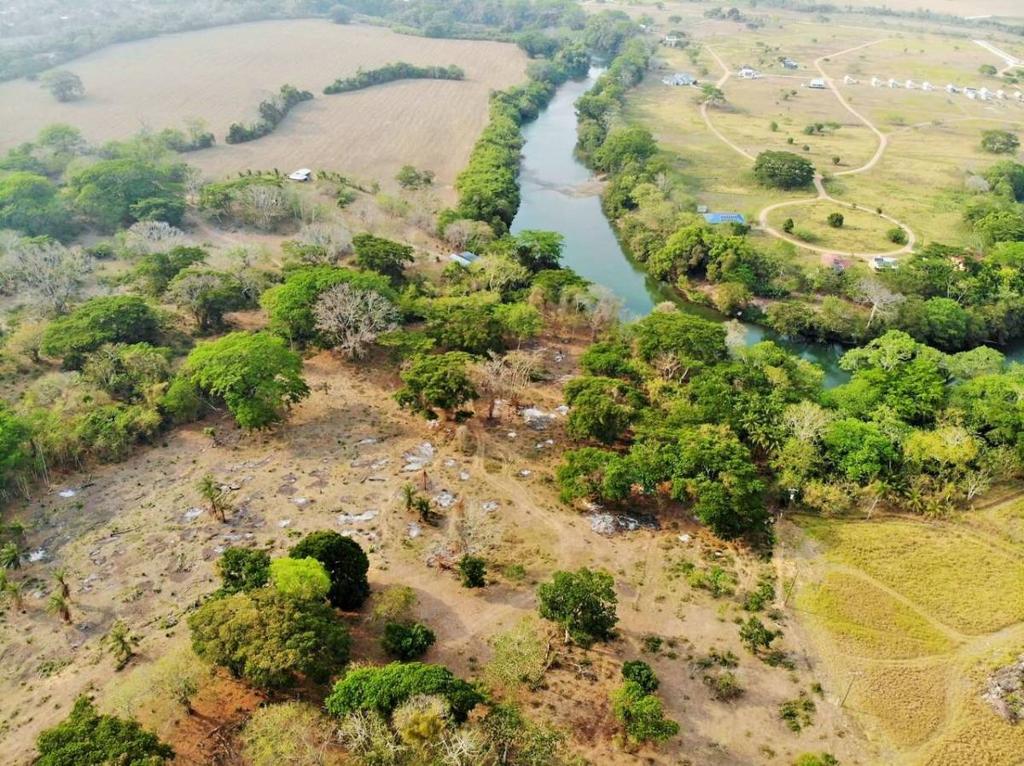 listing image with ID 64756