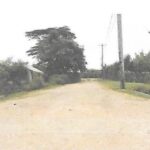 listing image thumbnail with ID 65999