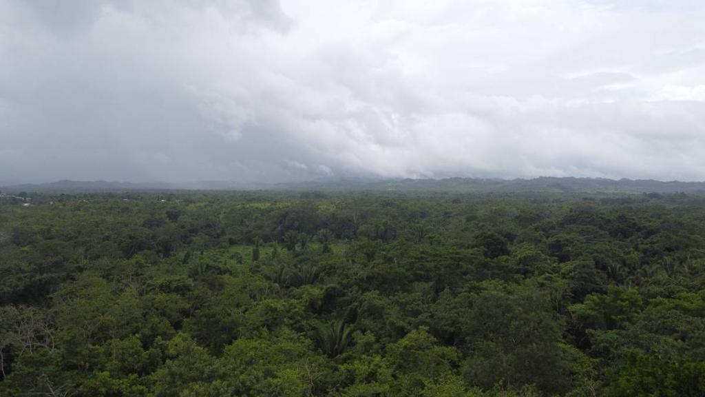 listing image with ID 66277