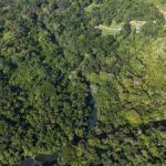 listing image thumbnail with ID 64591