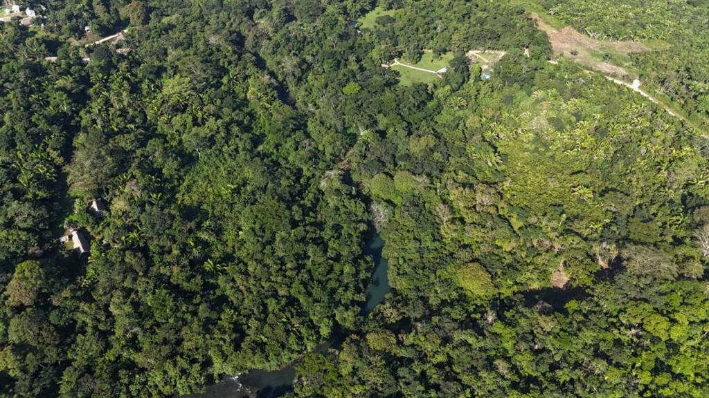 listing image with ID 64591