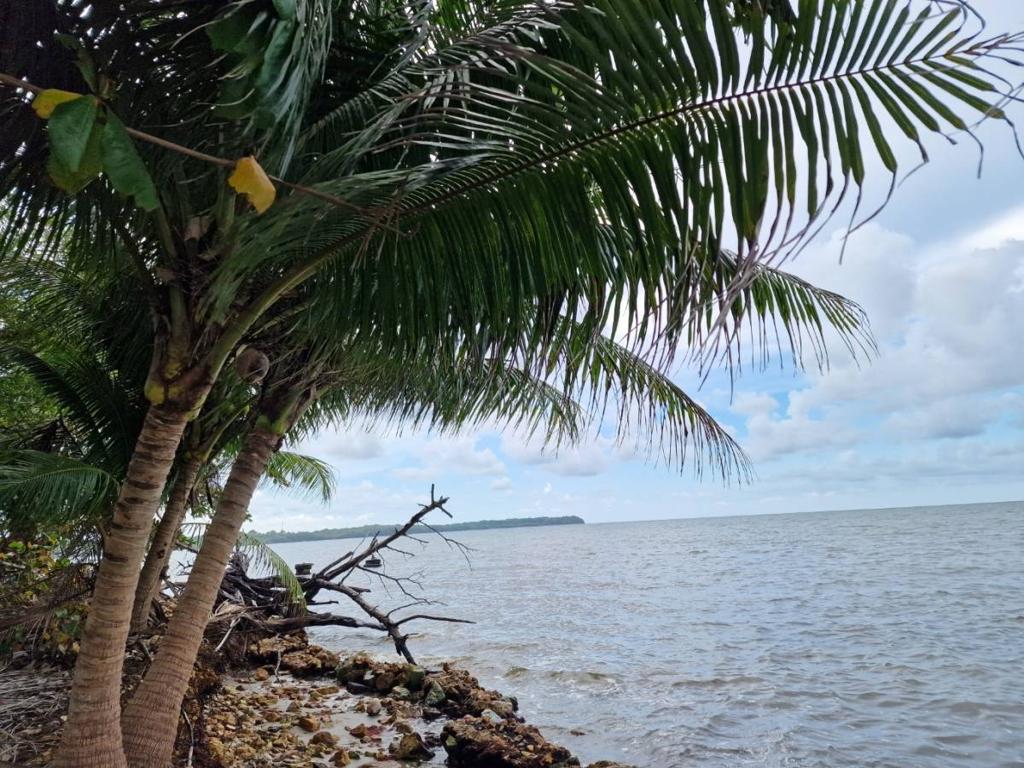 listing image with ID 63719