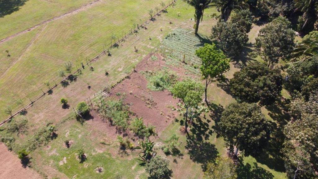 listing image with ID 64931