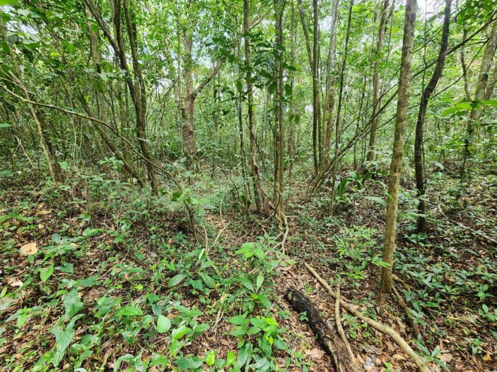 listing image with ID 69198