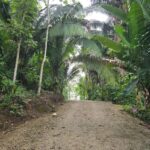 listing image thumbnail with ID 68271