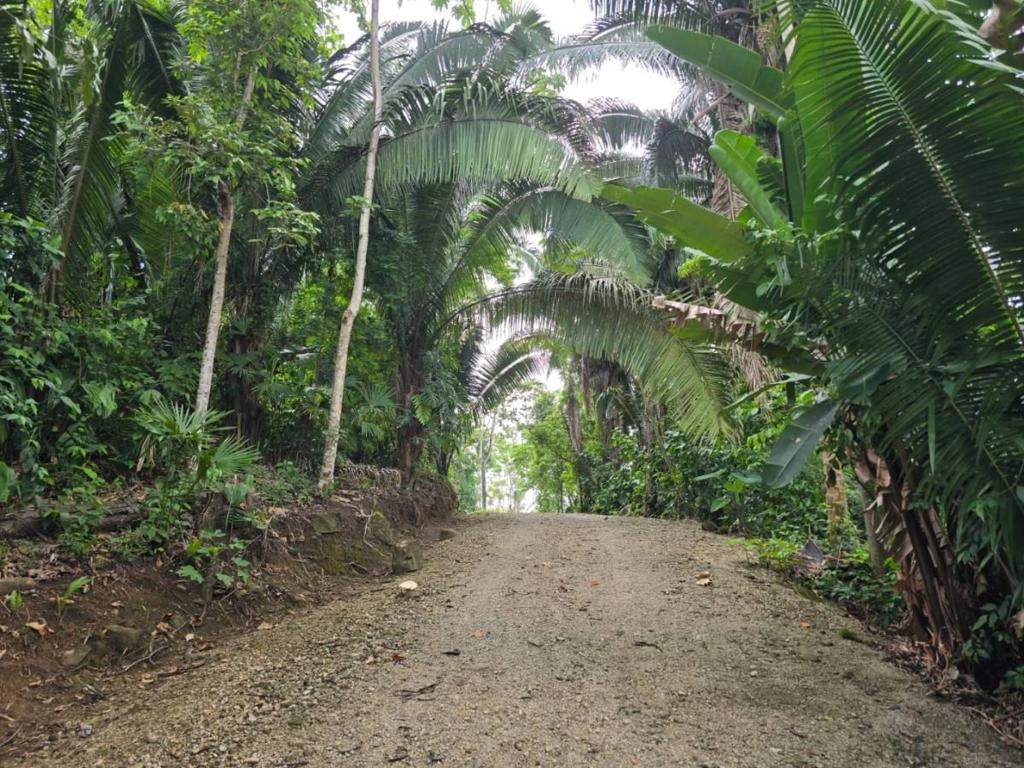 listing image with ID 68271