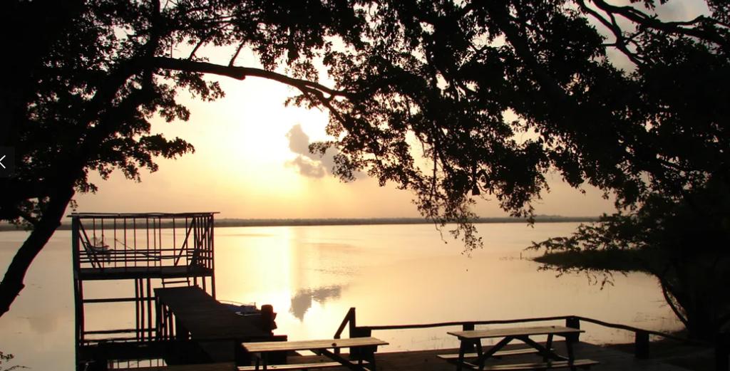 listing image with ID 67458