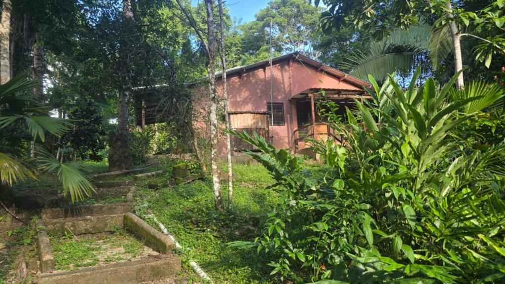 listing image with ID 66877