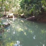 listing image thumbnail with ID 65533