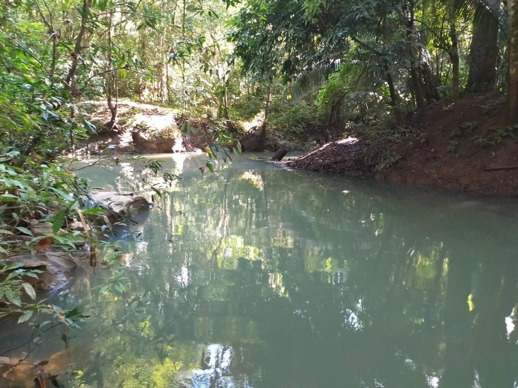 listing image with ID 65533