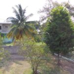 listing image thumbnail with ID 65665