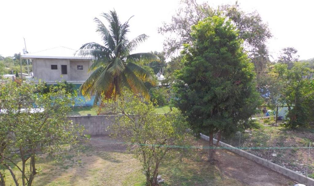 listing image with ID 65665