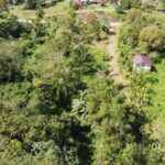 listing image thumbnail with ID 64250