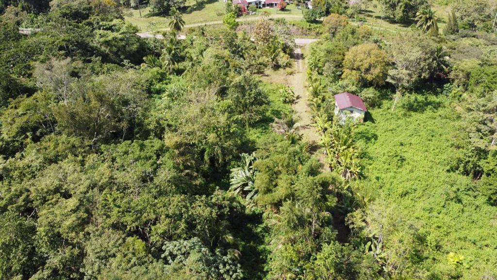 listing image with ID 64250