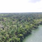 listing image thumbnail with ID 63804