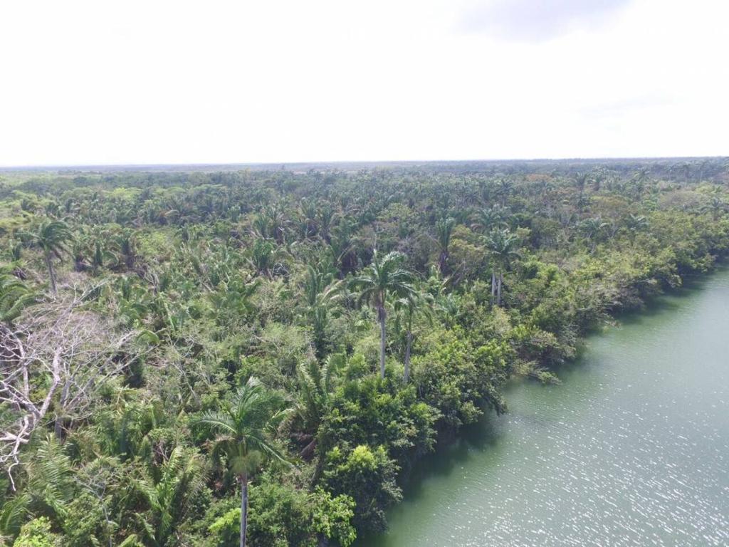 listing image with ID 63804