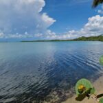 listing image thumbnail with ID 64486