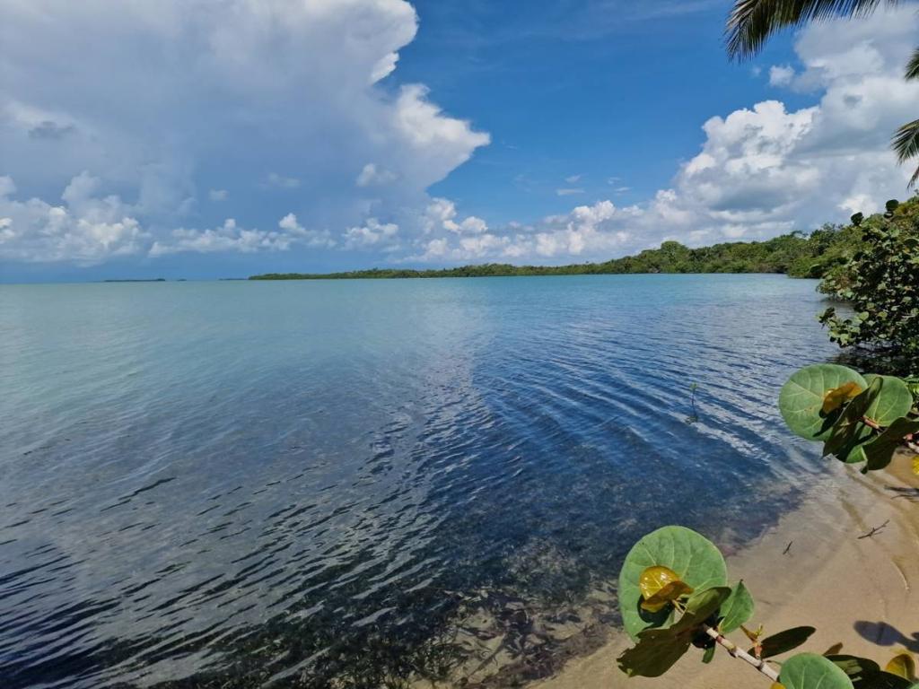 listing image with ID 64486