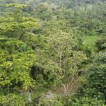 listing image thumbnail with ID 66284