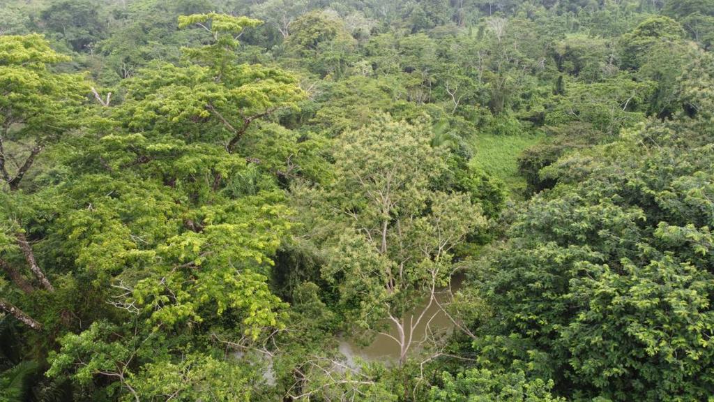 listing image with ID 66284