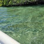 listing image thumbnail with ID 63569