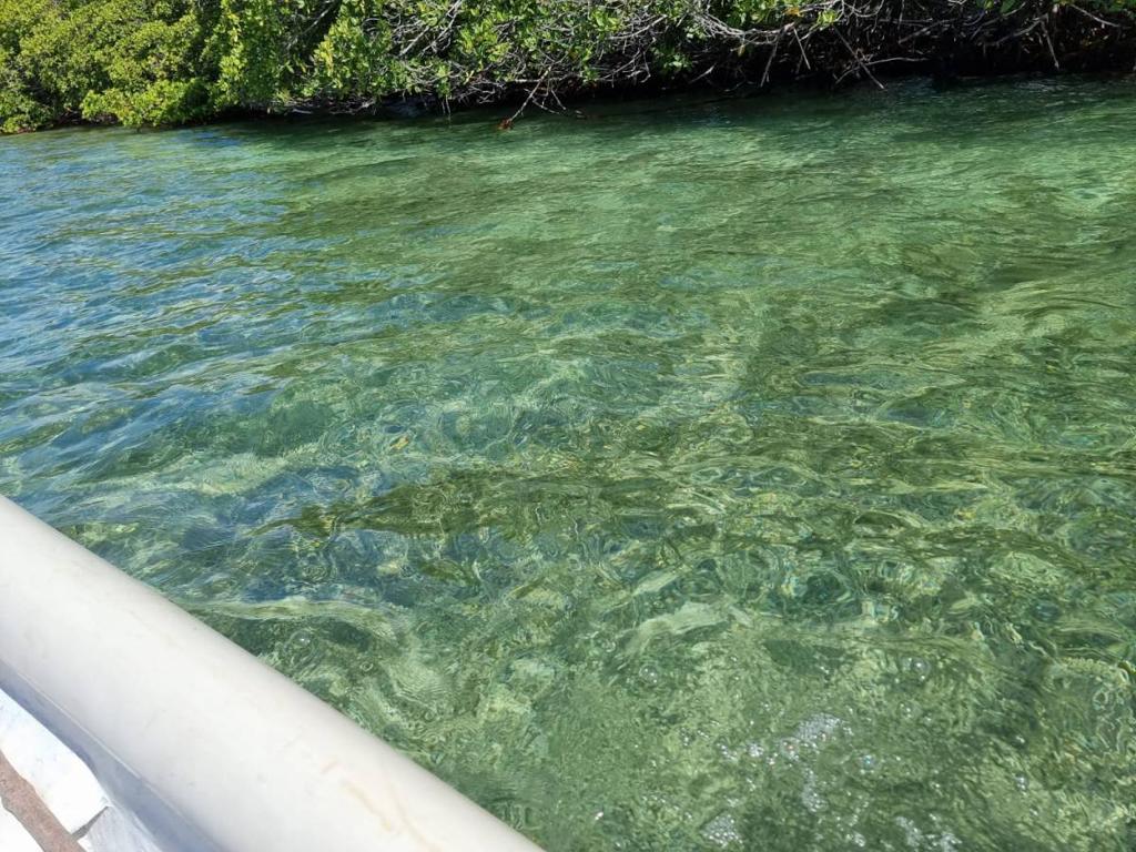 listing image with ID 63569