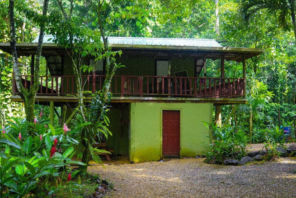 listing image with ID 63919