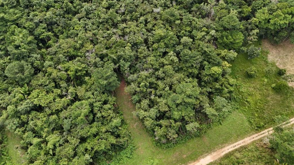 listing image with ID 66560