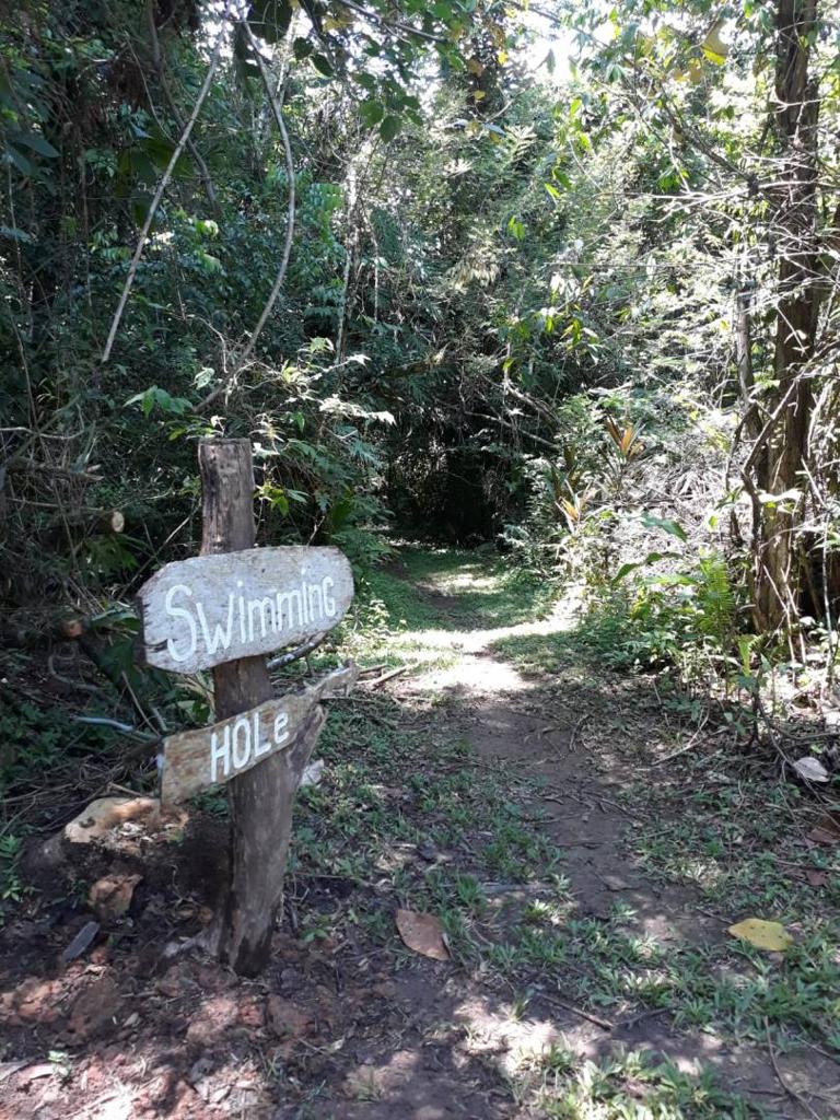 listing image with ID 65521