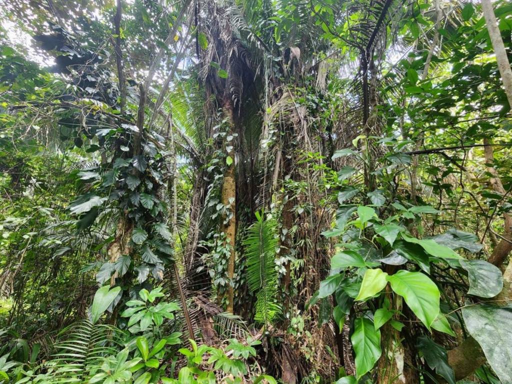 listing image with ID 69173