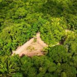 listing image thumbnail with ID 63936