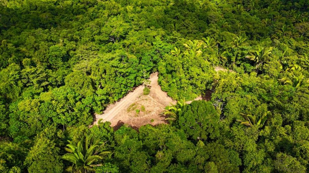 listing image with ID 63936