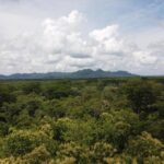 listing image thumbnail with ID 64213